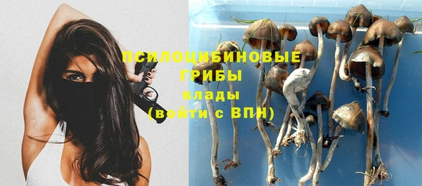 метамфетамин Лиски