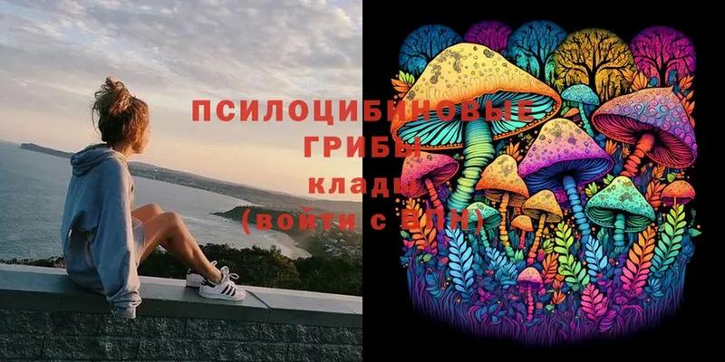 Галлюциногенные грибы Psilocybine cubensis  Кисловодск 