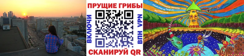 Псилоцибиновые грибы Psilocybe  Кисловодск 